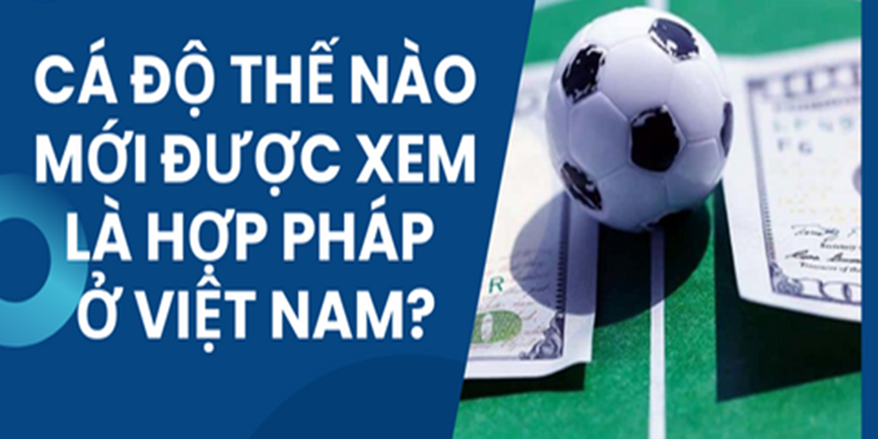 Giới thiệu về luật cá độ bóng đá ở Việt Nam